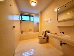 The Cairnhill (D9), Condominium #554742141